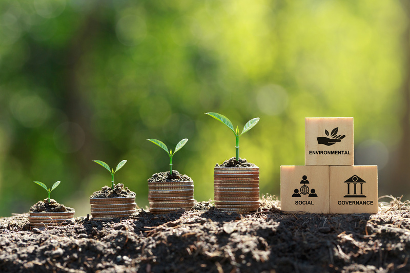 A relevância do ESG para as Pequenas e Médias Empresas: adotar práticas sustentáveis e responsáveis pode trazer benefícios financeiros e estratégicos