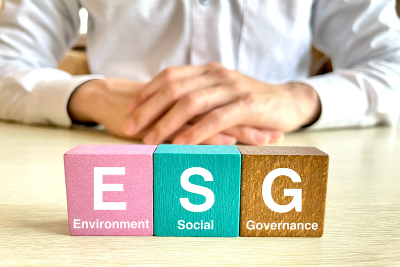 Diversidade e Sustentabilidade: como promover a inclusão e a preservação ambiental nas empresas