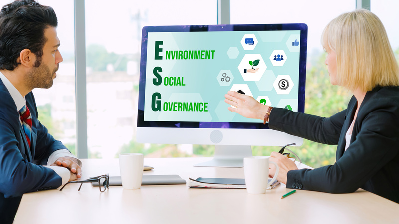Por que adotar princípios ESG: um guia para empresas responsáveis